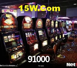 Login Seguro 91000